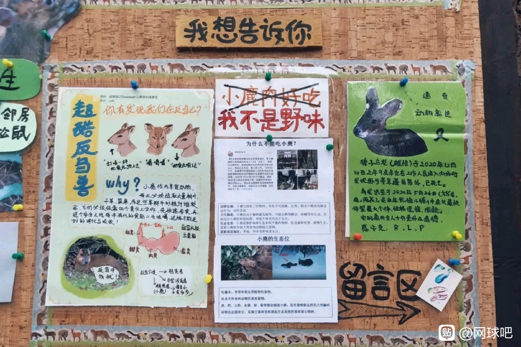 观海长廊