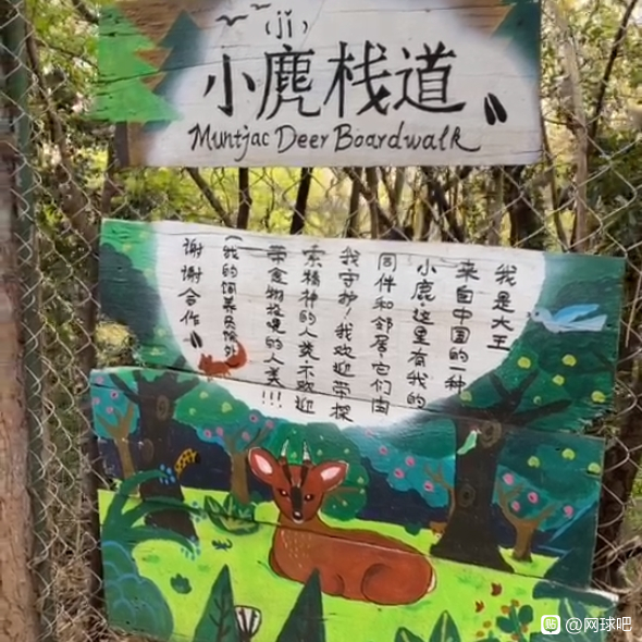 观海长廊