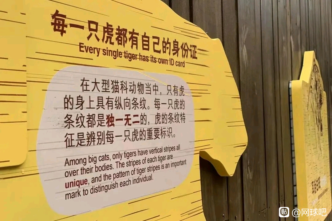 观海长廊