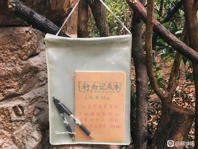 观海长廊