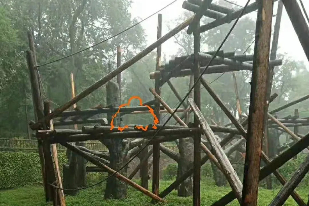 哈哈