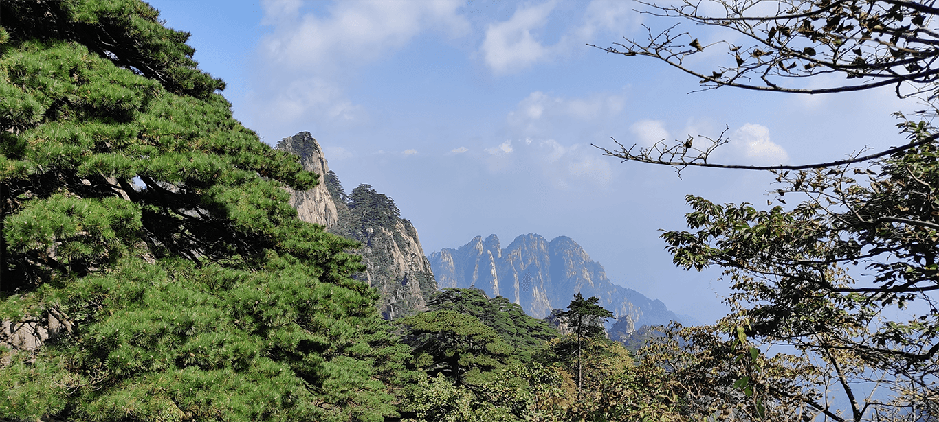 东海